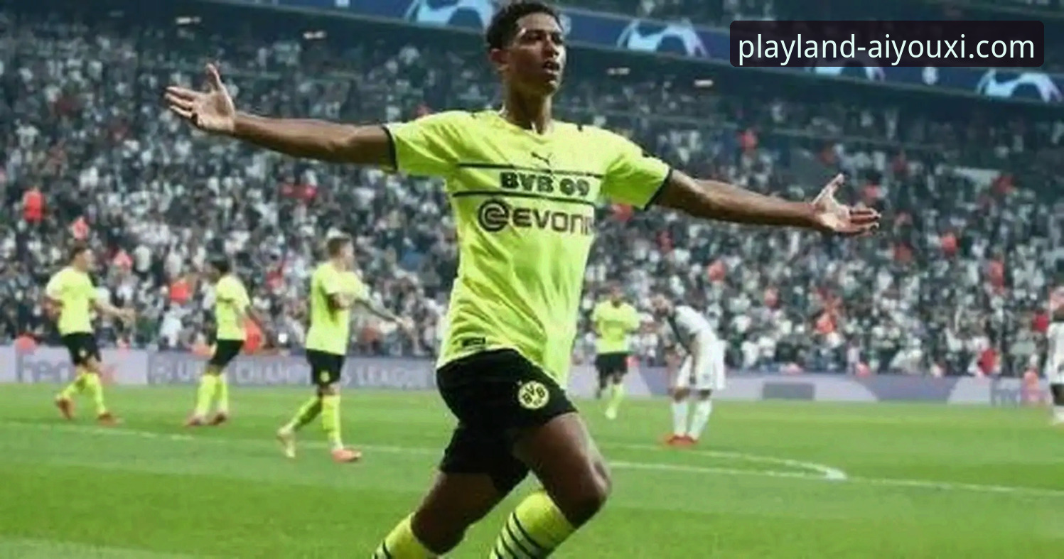 多特蒙德新星追踪操作教程：如何在爱游戏平台获取赫扎尔哈尼成长数据